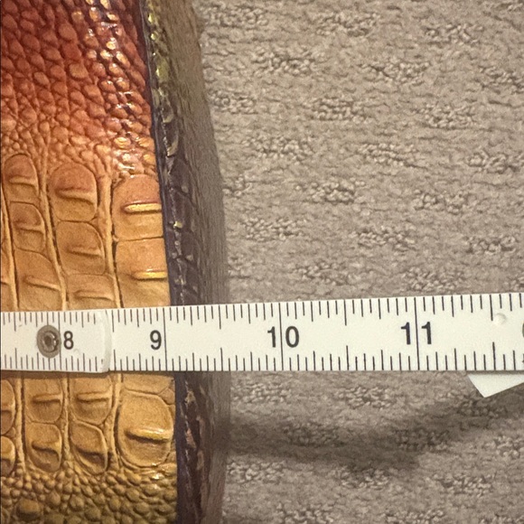 Brahmin Autumn Ombre Mini Melbourne - Picture 12 of 13